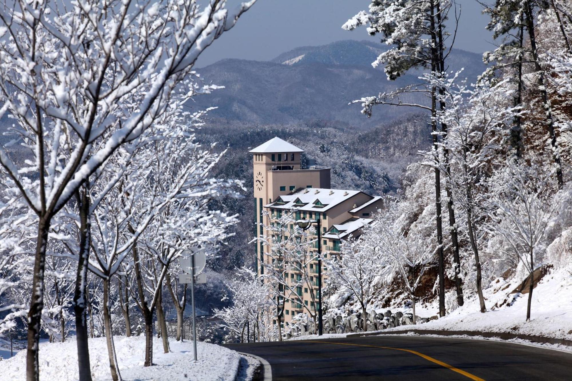 Oak Valley Resort Wonju Exteriör bild